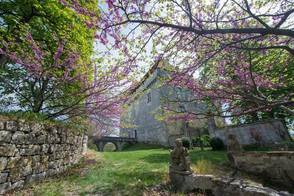 Вилла Chateau De Goudourville Экстерьер фото