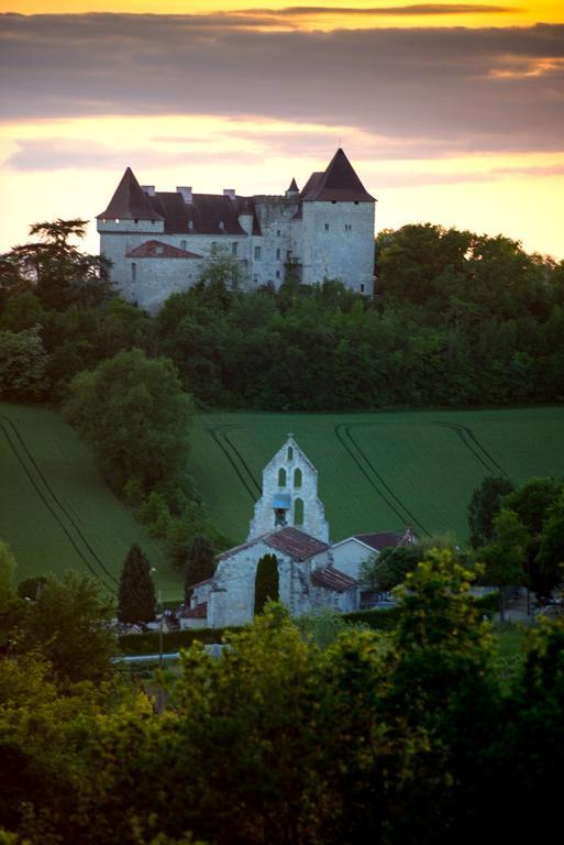 Вилла Chateau De Goudourville Экстерьер фото