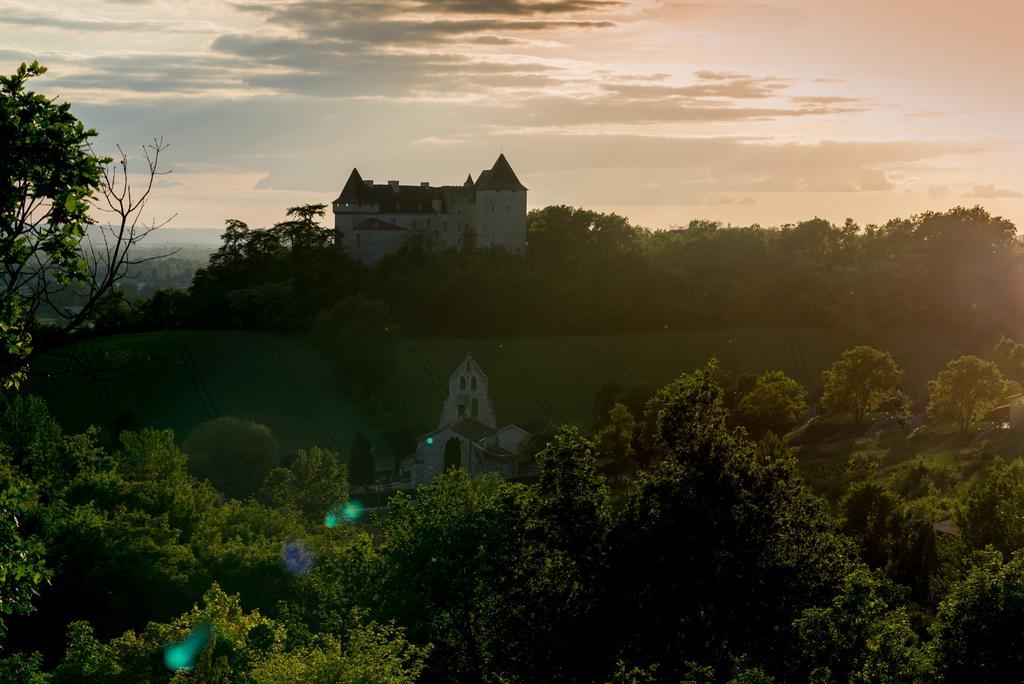 Вилла Chateau De Goudourville Экстерьер фото