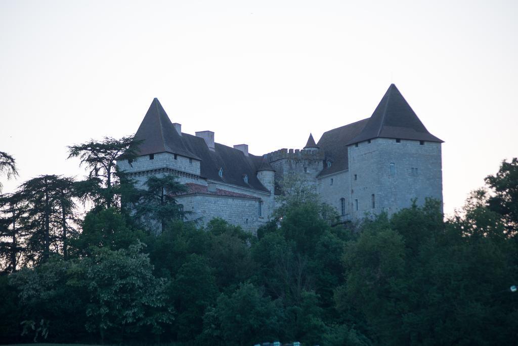 Вилла Chateau De Goudourville Экстерьер фото
