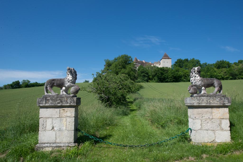 Вилла Chateau De Goudourville Экстерьер фото